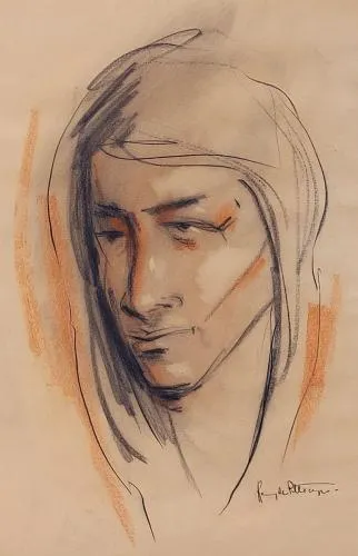 Kunstwerken van de Belgische kunstenaar  Remy de Pillecyn